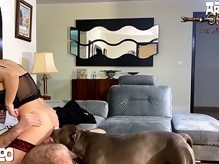 Animal Sex Gof