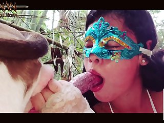 Gay Sex Animal Video