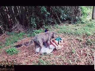 Farm Animal Sex Videos