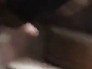 Sucking Animal Sex