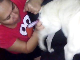 Animal Crossing Sex Story